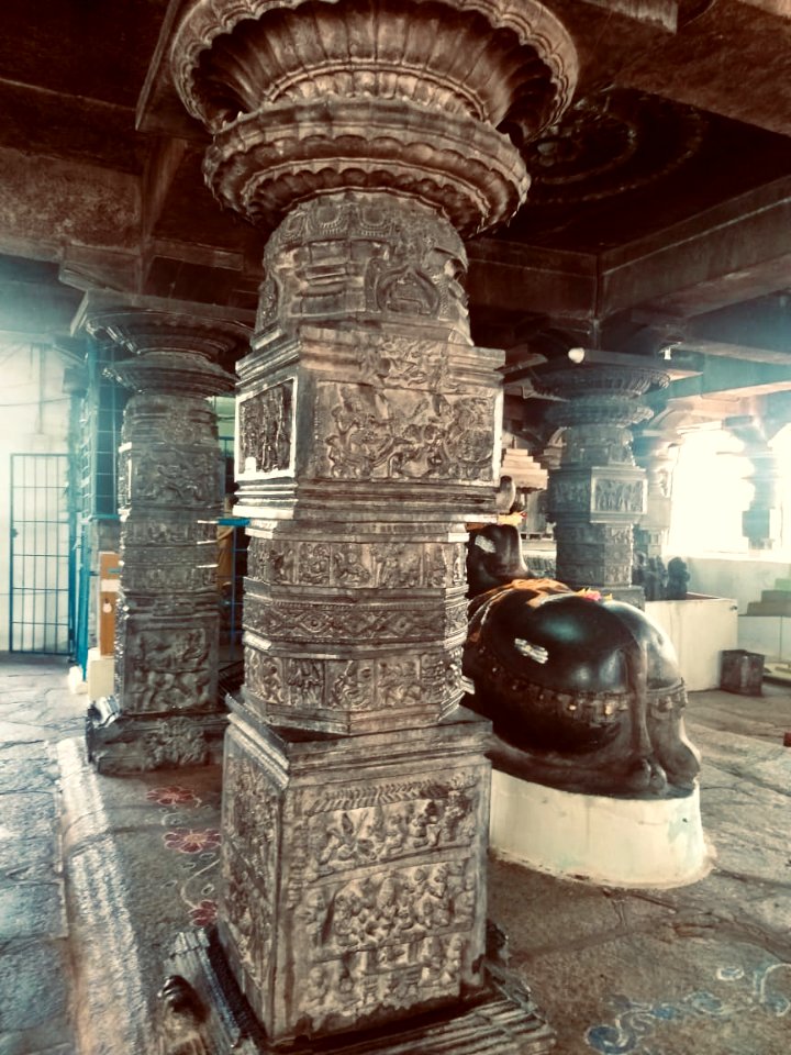 11th_12th_century_Pachala_Someshwara_Temple_reliefs_and_mandapams,_Panagal_Telangana_India_-_3