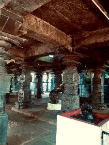 11th_12th_century_Pachala_Someshwara_Temple_reliefs_and_mandapams,_Panagal_Telangana_India_-_38