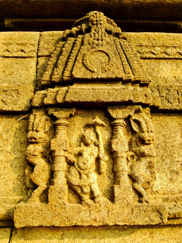 11th_12th_century_Suryanarayana_Temple,_Kalgi,_Karnataka_India_-_46