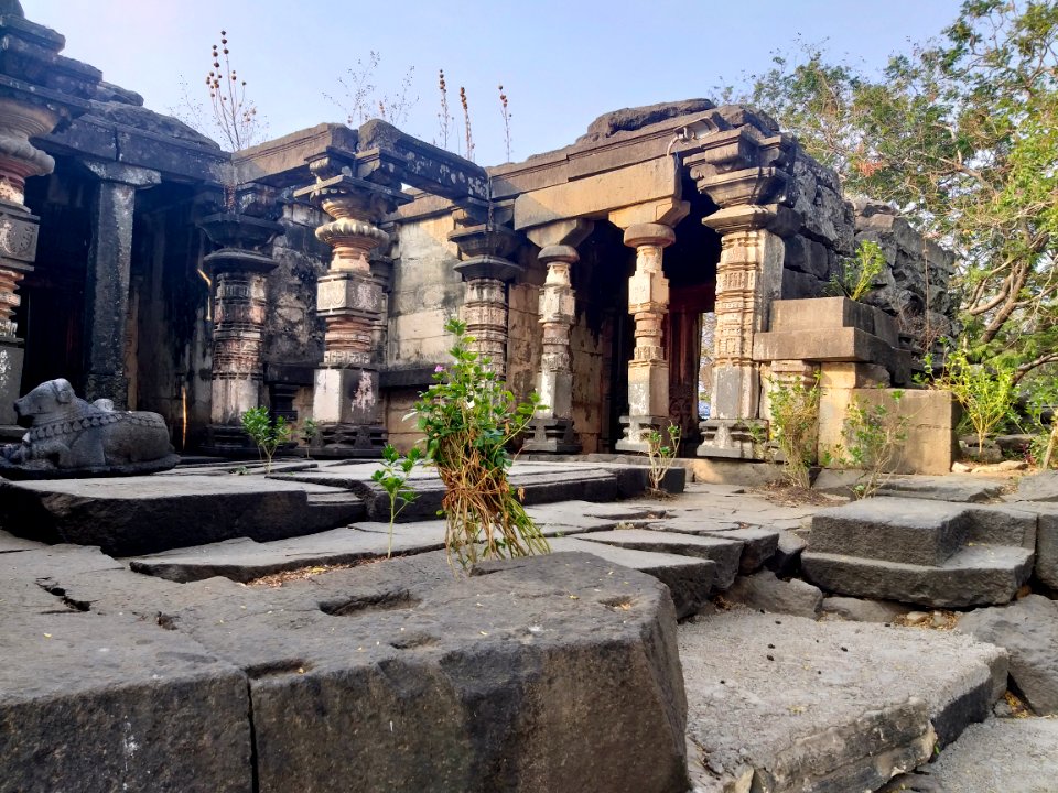 11th_12th_century_Suryanarayana_Temple,_Kalgi,_Karnataka_India_-_22