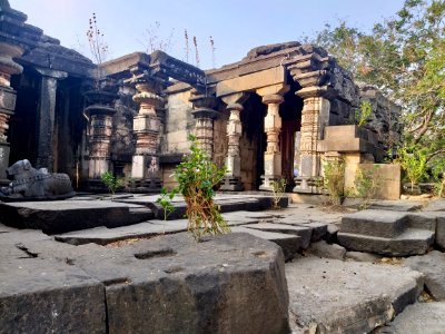 11th_12th_century_Suryanarayana_Temple,_Kalgi,_Karnataka_India_-_22