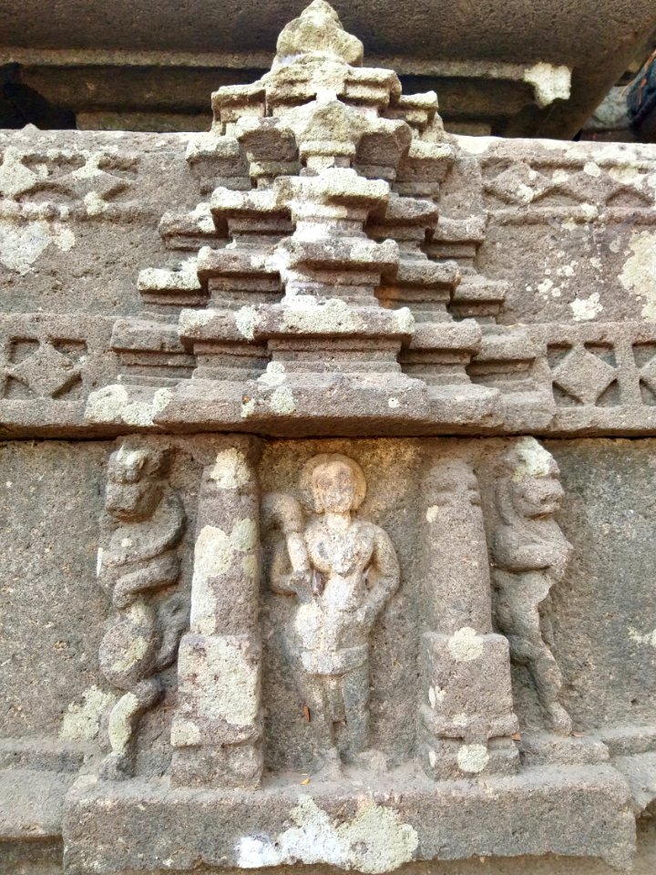 11th_12th_century_Suryanarayana_Temple,_Kalgi,_Karnataka_India_-_25