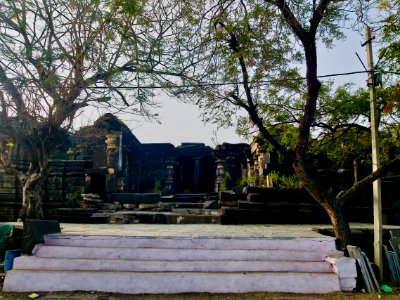 11th_12th_century_Suryanarayana_Temple,_Kalgi,_Karnataka_India_-_1