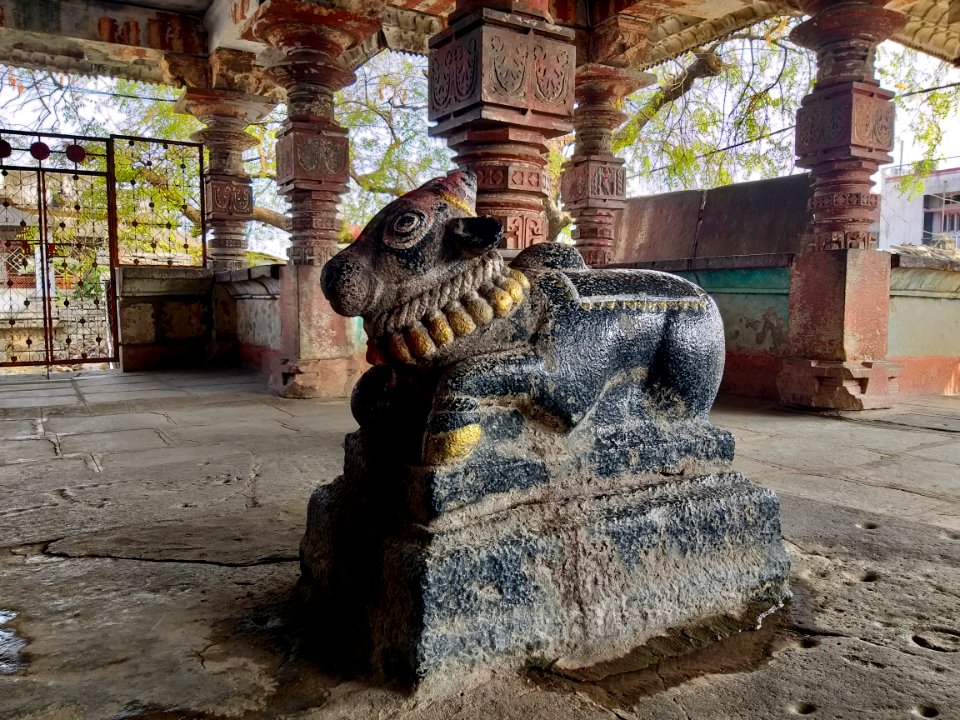 11th_12th_century_Siddheshwara_Temple_Kalgi_Karnataka_India_-_7
