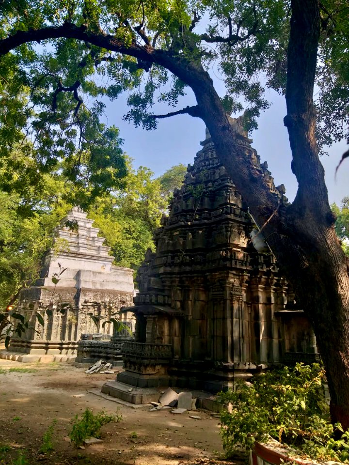 11th_12th_century_Pachala_Someshwara_Temple_reliefs_and_mandapams,_Panagal_Telangana_India_-_60