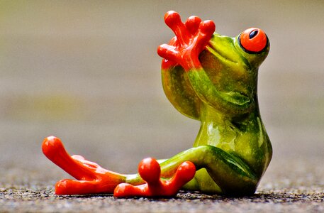 Funny cute fun