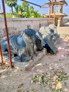 11th_12th_century_Chaya_Someshwara_Temple,_Panagal_Telangana_India_-_16