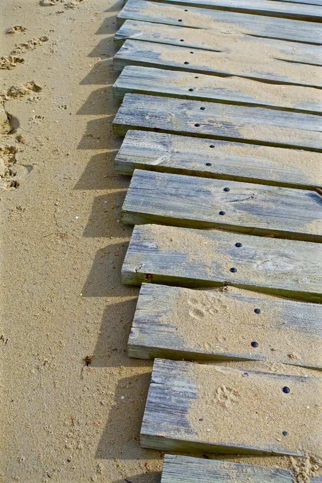 Footpath walkway pathway photo