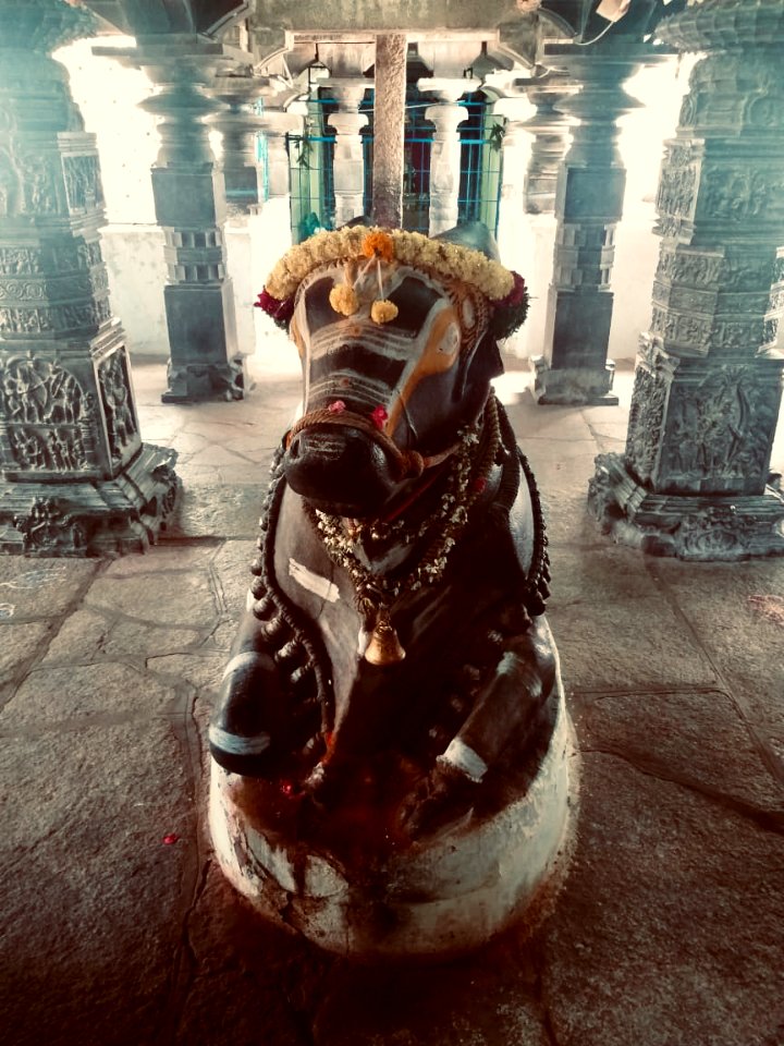 11th_12th_century_Pachala_Someshwara_Temple_reliefs_and_mandapams,_Panagal_Telangana_India_-_2
