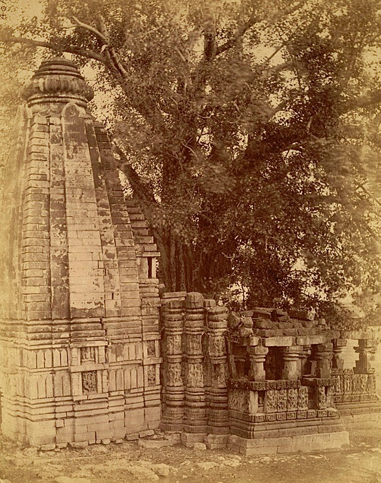 12th-century_small_Vishnu_temple,_Janjgir_Chhattisgarh,_archive_image_late_19th_century