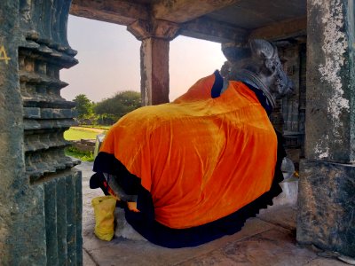 12th_century_Dodda_Basappa_temple,_Dambal,_Karnataka_India_-_206