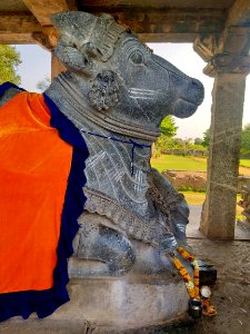 12th_century_Dodda_Basappa_temple,_Dambal,_Karnataka_India_-_203