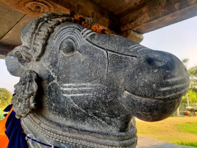 12th_century_Dodda_Basappa_temple,_Dambal,_Karnataka_India_-_212