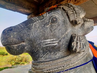 12th_century_Dodda_Basappa_temple,_Dambal,_Karnataka_India_-_213