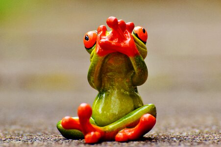 Funny cute fun