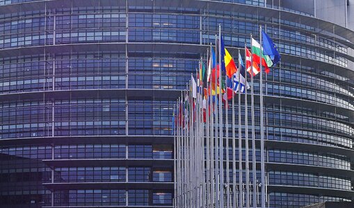 Flag forest eu european union