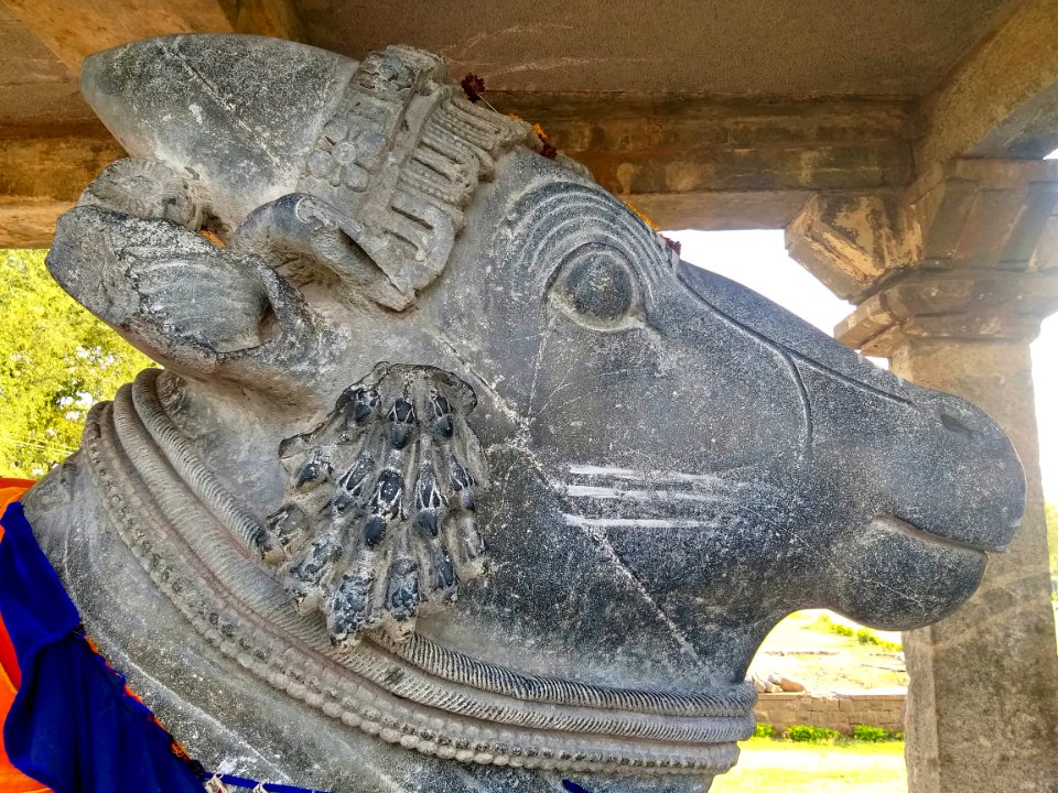 12th_century_Dodda_Basappa_temple,_Dambal,_Karnataka_India_-_204