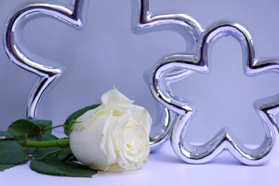 Memory birthday give