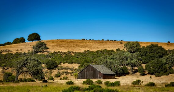 Farm ranch landscape photo