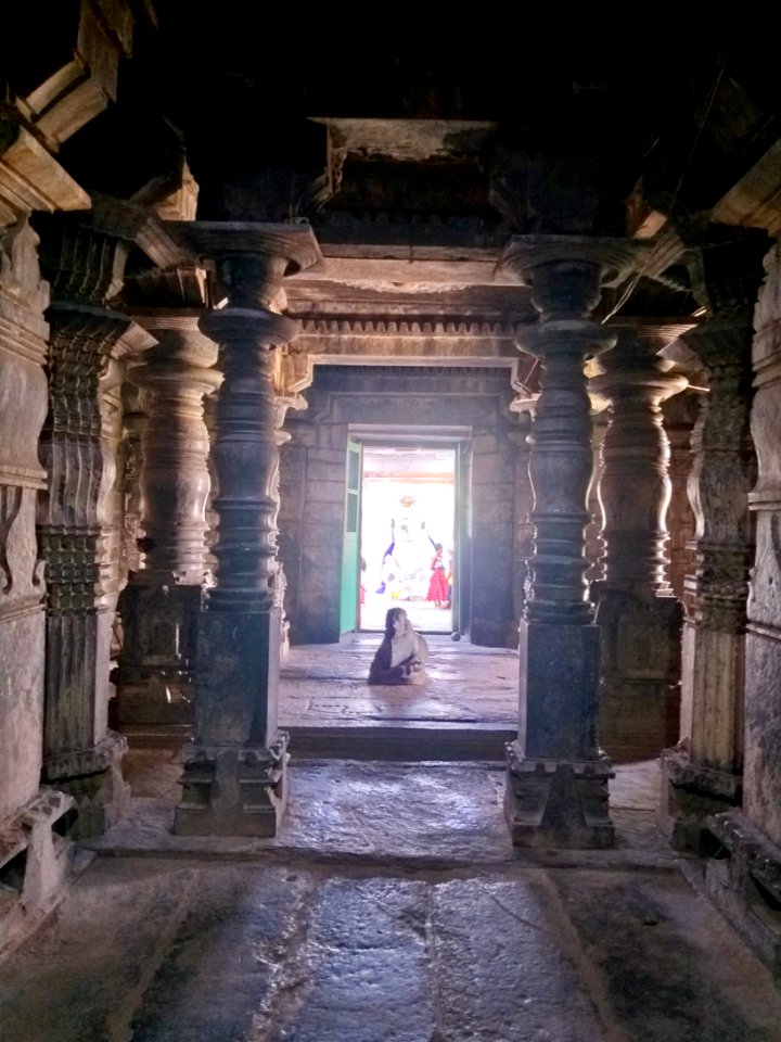 12th_century_Dodda_Basappa_temple,_Dambal,_Karnataka_India_-_68