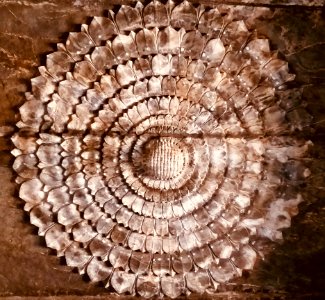 12th_century_Dodda_Basappa_temple,_Dambal,_Karnataka_India_-_30
