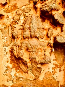 11th_century_Trikuteshvara_temple,_Gadag,_Karnataka_India_-_89