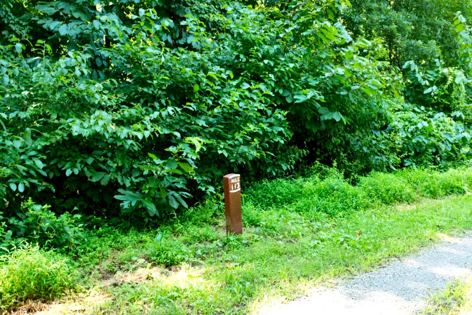 113_Mile_Marker_on_Chesapeake_and_Ohio_Canal_(14_mile_level)_at_Big_Pool