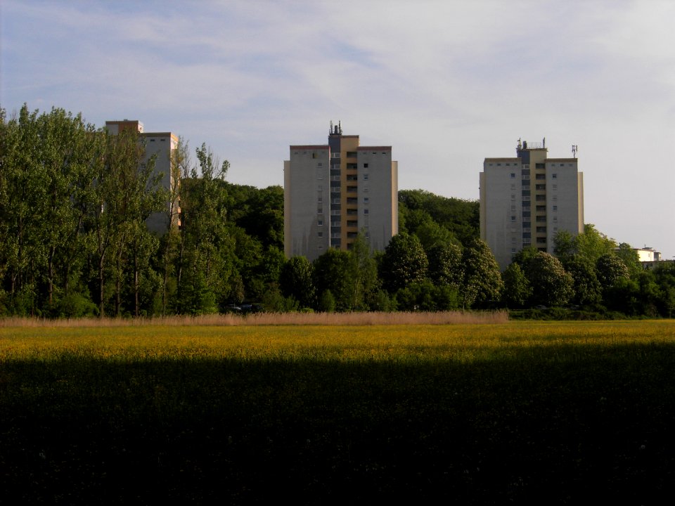 110507_Gießen_Eichgaertenallee.01