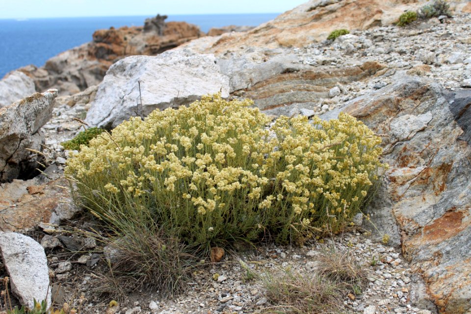 112-Parc_Cap_de_Creus