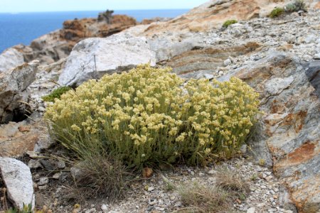 112-Parc_Cap_de_Creus