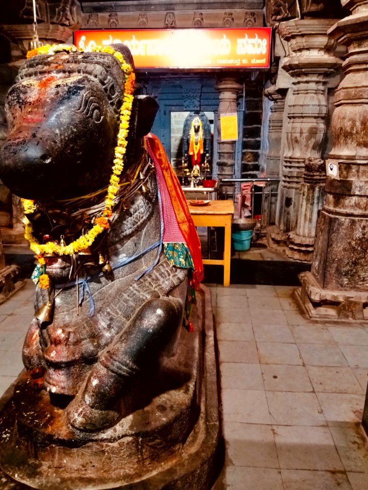 11th_century_Trikuteshvara_temple,_Gadag,_Karnataka_India_-_193