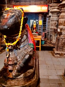 11th_century_Trikuteshvara_temple,_Gadag,_Karnataka_India_-_193