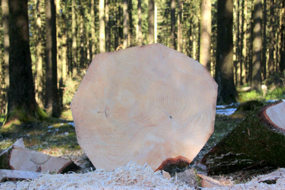 Conifer like interface