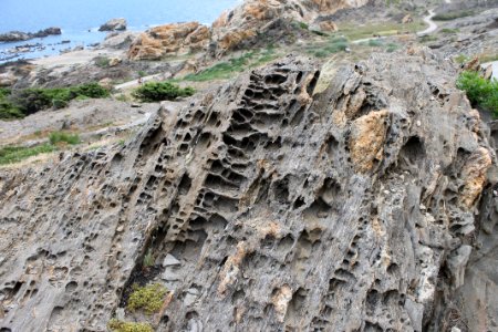 118-Parc_Cap_de_Creus