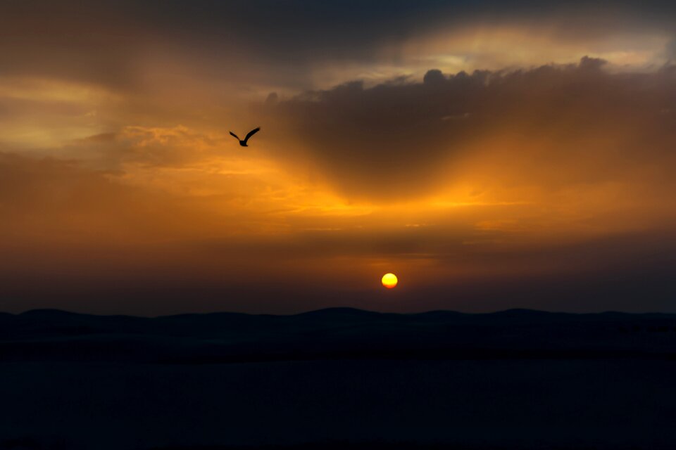 Twilight evening freedom
