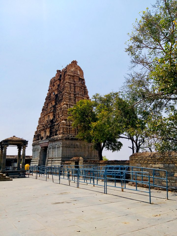 10th_to_15th_century_Chennakesava_temples_group,_Pushpagiri,_Andhra_Pradesh_India_-_03