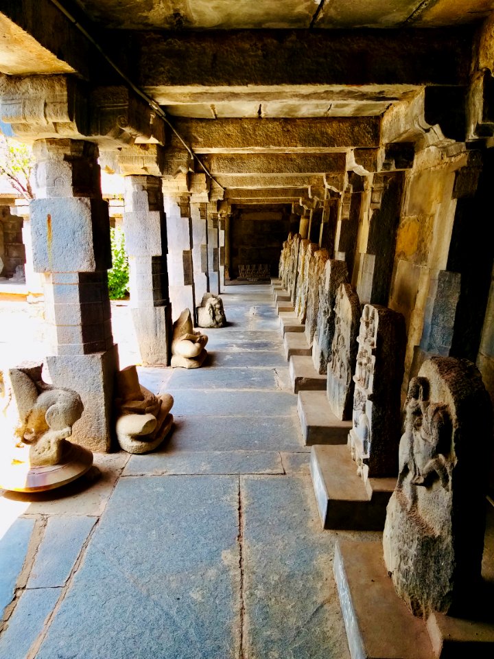 10th_to_13th_century_Trikutesvara_Temples_complex,_Pushpagiri,_Andhra_Pradesh_India_-_17