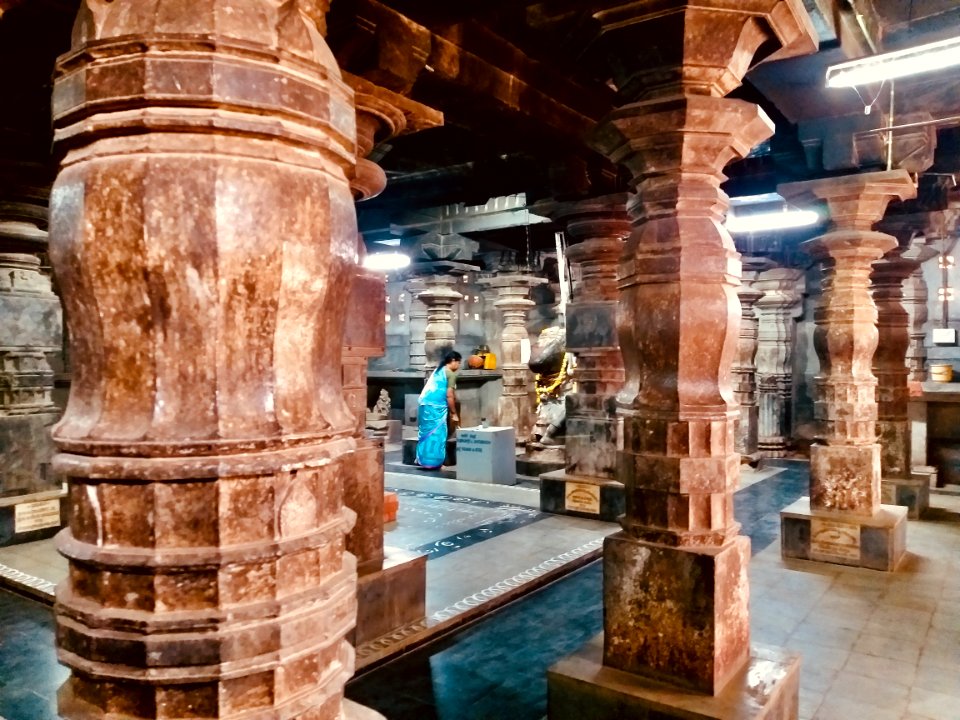 11th_century_Trikuteshvara_temple,_Gadag,_Karnataka_India_-_192