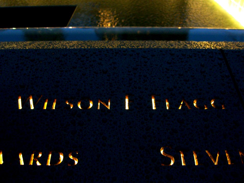 12.6.11WilsonFlaggPanelS-70ByLuigiNovi1