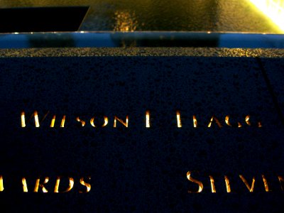 12.6.11WilsonFlaggPanelS-70ByLuigiNovi1
