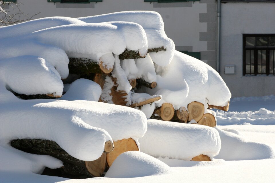Cold snowdrift logs