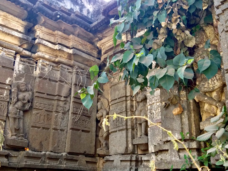 11th_12th_century_Mallikarjuna_Temple_Kalgi_Karnataka_India_-_21