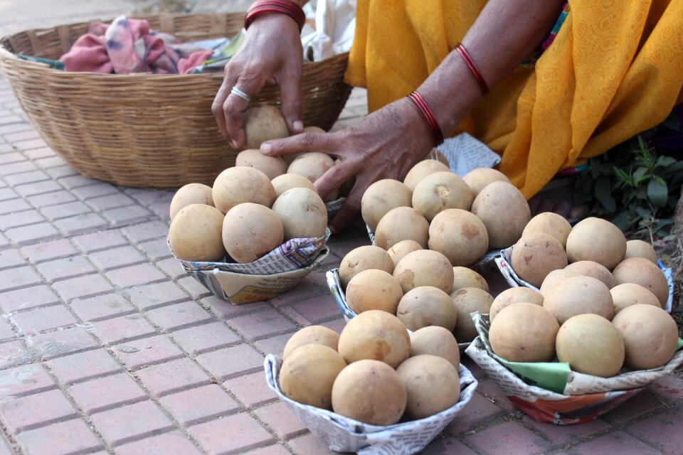 Fruits lady village