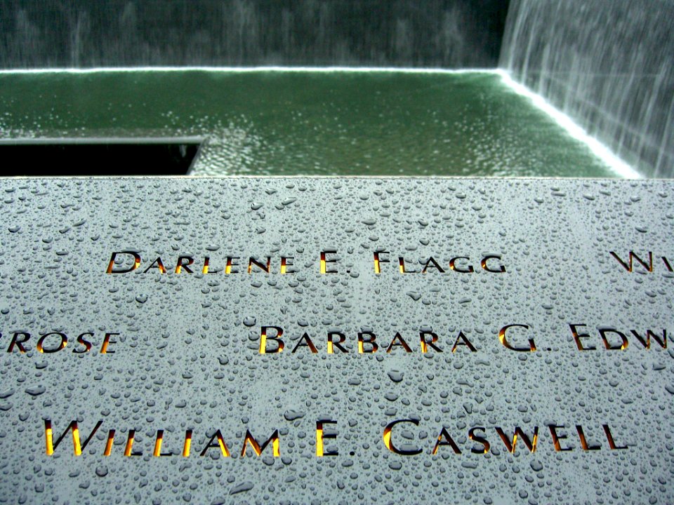 12.6.11WilliamECaswellPanelS-70ByLuigiNovi9