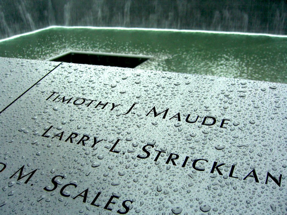 12.6.11TimothyMaudePanelS-74ByLuigiNovi4