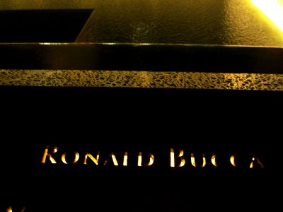 12.6.11RonaldPaulBuccaPanelS-14ByLuigiNovi2