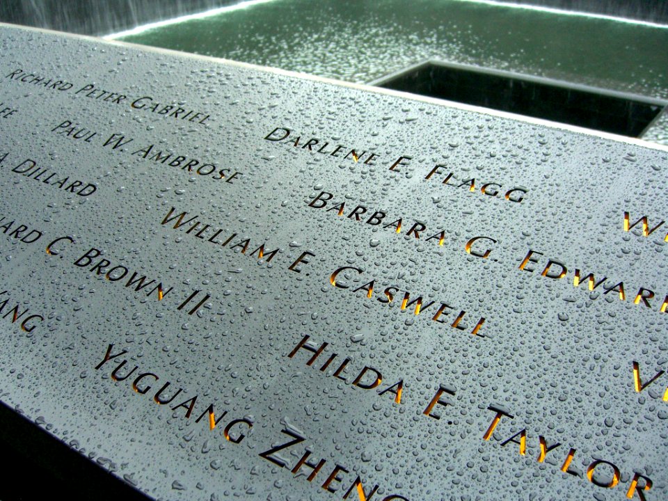 12.6.11WilliamECaswellPanelS-70ByLuigiNovi6