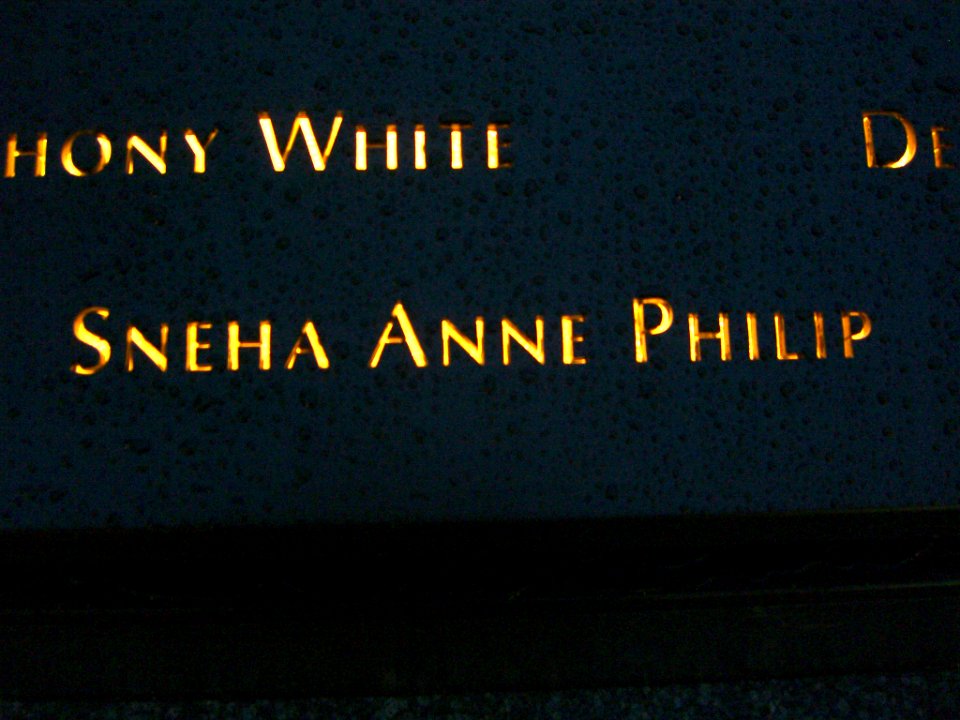 12.6.11SnehaAnnePhilipPanelS-66ByLuigiNovi2