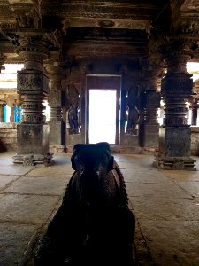 11th_century_Panchalingeshwara_temples_group,_Kalyani_Chalukya,_Sedam_Karnataka_India_-_72