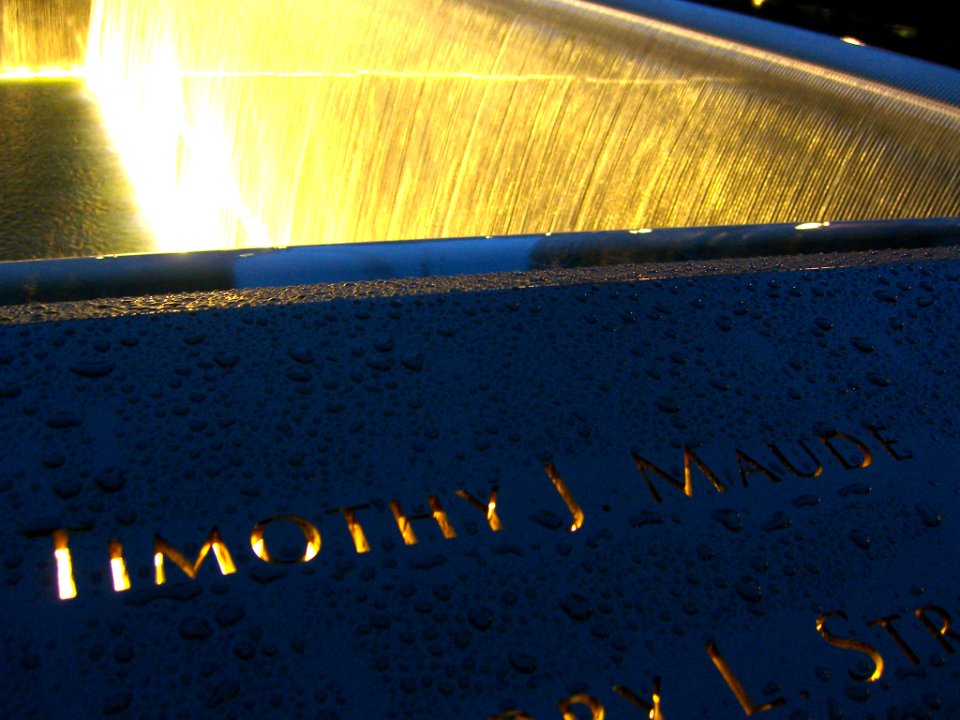 12.6.11TimothyMaudePanelS-74ByLuigiNovi1
